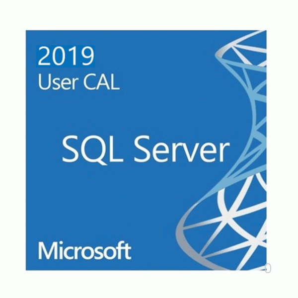 Microsoft SQLSvrStd 2019 SNGL OLP NL (228-1147)