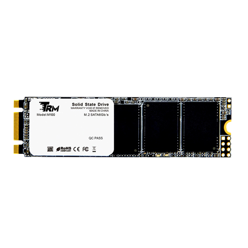 Ổ SSD TRM M100 256Gb M.2 SATA (đọc: 560MB/s; /ghi: 520MB/s)