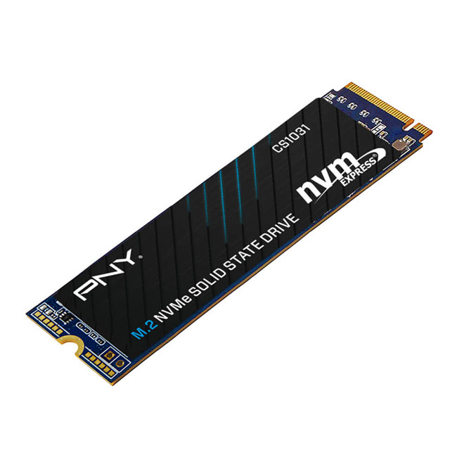 Ổ SSD PNY CS1031 256Gb PCIe NVMe Gen 3.0x4 M2.2280 (đọc: 1700MBps /ghi: 1100MBps)